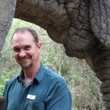The "Francois Du Toit" user's logo