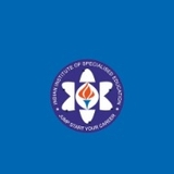 The "IISE Institute" user's logo