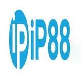 The "IP88 vin" user's logo