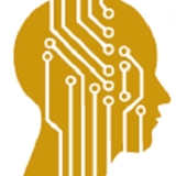 The "Intellectual Property Securities Corporation" user's logo