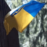 Igor Rod