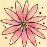 The "John Adam" user's logo