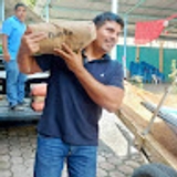 José Hernández