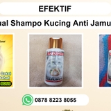 Jual Shampo Kucing Anti Jamur
