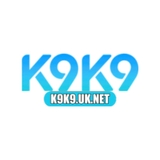 The "K9K9" user's logo
