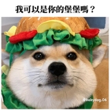 The "이이이이이17" user's logo