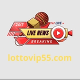 The "lottovip55.com" user's logo
