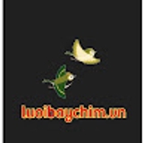 The "Luoibaychim Vn" user's logo