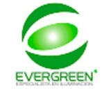 The "luzledevergreen" user's logo