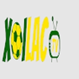 The "maniffesto.com gia mao" user's logo