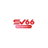 The "SV66" user's logo
