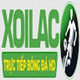 The "most-fit com lừa đảo" user's logo