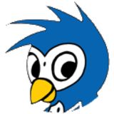 The "The Early Bird" user's logo