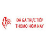 The "Đá Gà Trực Tiếp Thomo Hôm Nay" user's logo