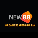 The "new889b1" user's logo