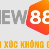 The "new88co" user's logo