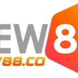 The "New88" user's logo