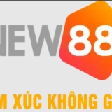 The "NEW88 LINK TRANG CHỦ NEW88, ĐĂNG KÝ & ĐĂNG NHẬP NEW88" user's logo