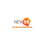 The "new88vision" user's logo