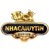 The "NHACAIUYTIN BOSTON" user's logo