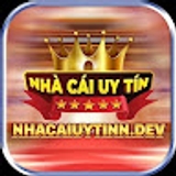 The "Nhacaiuytinn   dev" user's logo