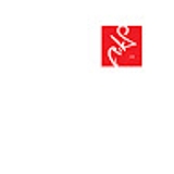 The "NikolaRikanovic" user's logo