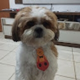 nini gamer