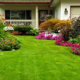 The "Northglenn Landscaping" user's logo
