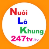 The "Nuôi lô khung 247 Tv - Website Soi cầu 247 rồng bạch kim chính xác 100" user's logo