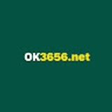 The "OK365 Net" user's logo