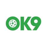 The "OK9111 COM" user's logo