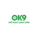 The "Ok9119 Com" user's logo