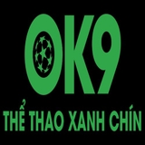 The "Ok9best Com" user's logo