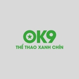 The "OK9 - Nhà cái cá cược thể thao và casino trực tuyến uy tín" user's logo