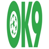 The "Casino Ok9" user's logo