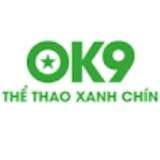 The "OK9 Earth" user's logo