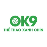 The "OK9 " user's logo