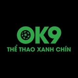 The "OK9 " user's logo