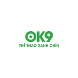 The "ok9foundation" user's logo