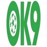 The "ok9glass" user's logo