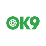 The "OK9 - Nền Tảng Cá Cược Trực Tuyến Uy Tín và Chất Lượng Hàng Đầu" user's logo
