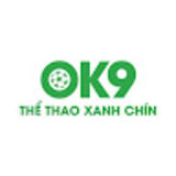 The "OK9  " user's logo