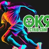 The "Nhà Cái OK9" user's logo