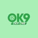 The "Ok9 one" user's logo