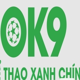The "ok9 " user's logo