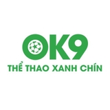 The "Ok9 " user's logo