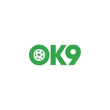 The "ok9 report" user's logo