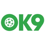 The "เจ้ามือรับแทง Ok9" user's logo