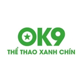 The "ok9tours1" user's logo