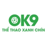 The "OK9 OK9" user's logo